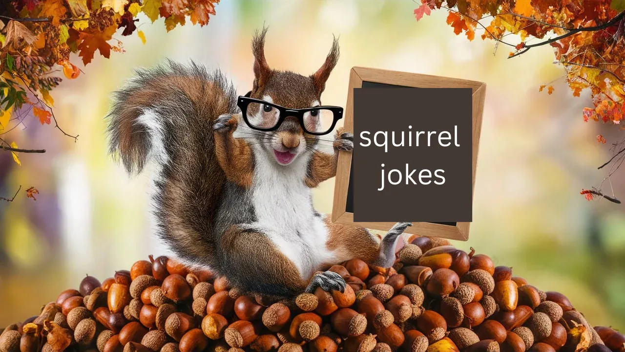 squirrel jokes